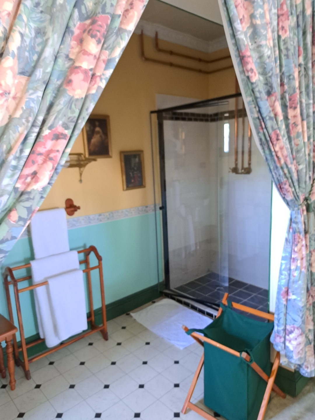 Deluxe Green Room — en-suite with shower